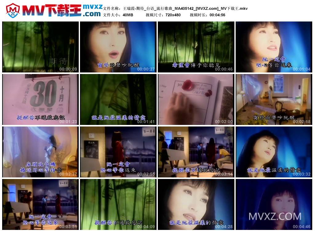 王瑞霞-期待_台语_流行歌曲_MA405142